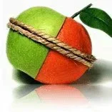 才储APESK - 基于大数据的人力资源管理 - AI研究社