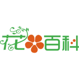 花百科养花专家 - AI研究社