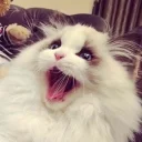 OUO工具箱 - AI研究社