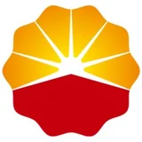中国石油天然气股份有限公司 - AI研究社