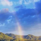 星光灿烂的小破站 - AI研究社