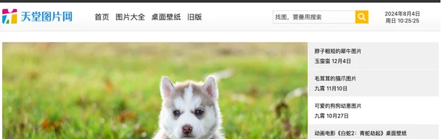 天堂图片网 - AI研究社