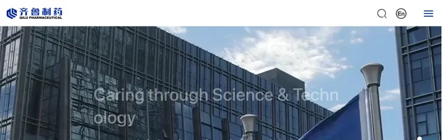 齐鲁制药 - AI研究社