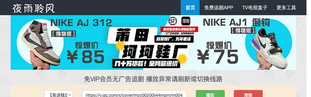 夜雨聆风VIP视频解析 - AI研究社