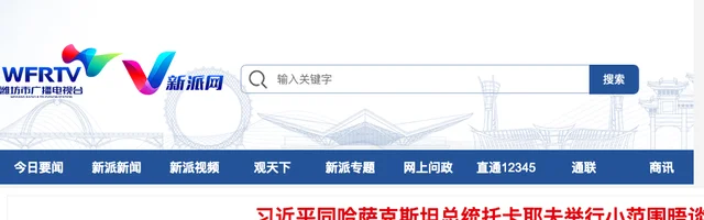 新派网 - 潍坊市广播电视台 - AI研究社